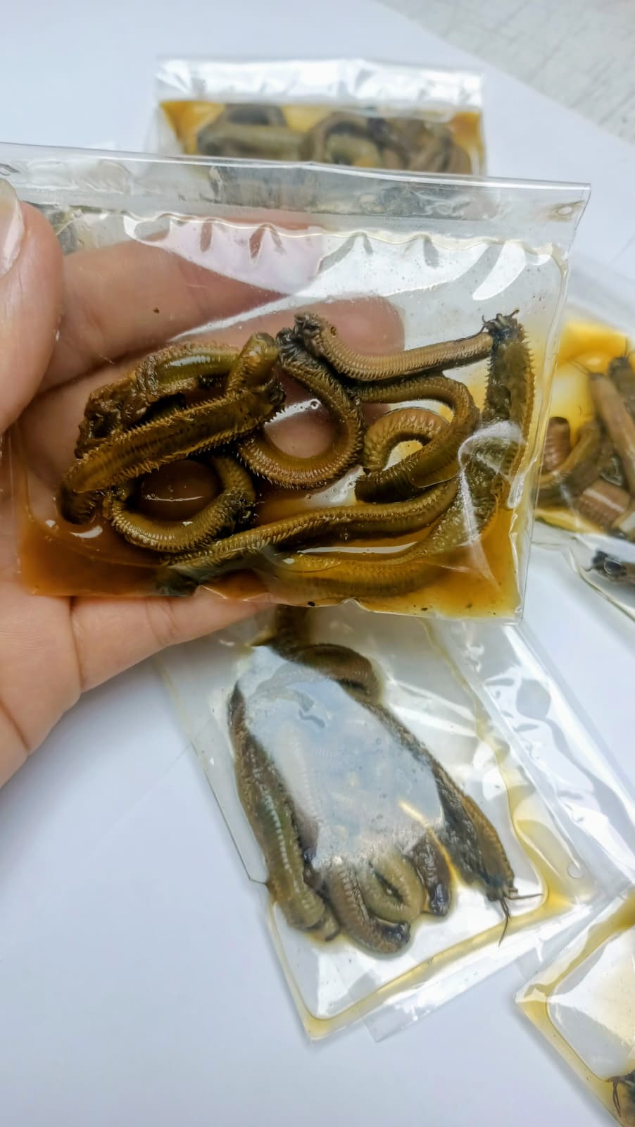 Salamura Boru Kurdu Tekli Paket